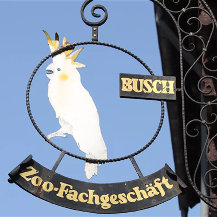 Filiale in der Innenstadt