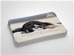 Geschenk Gutschein