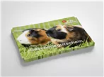 Geschenk Gutschein